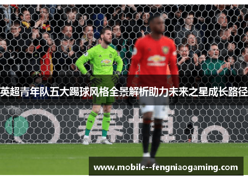 英超青年队五大踢球风格全景解析助力未来之星成长路径