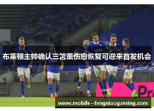 布莱顿主帅确认三笘薰伤愈恢复可迎来首发机会
