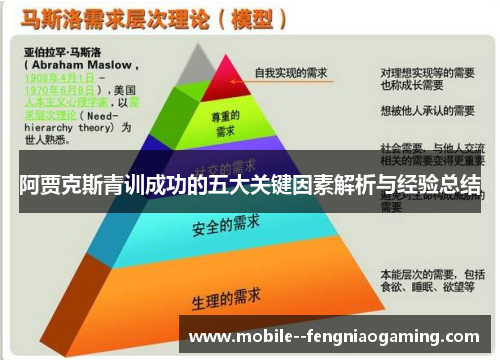 阿贾克斯青训成功的五大关键因素解析与经验总结