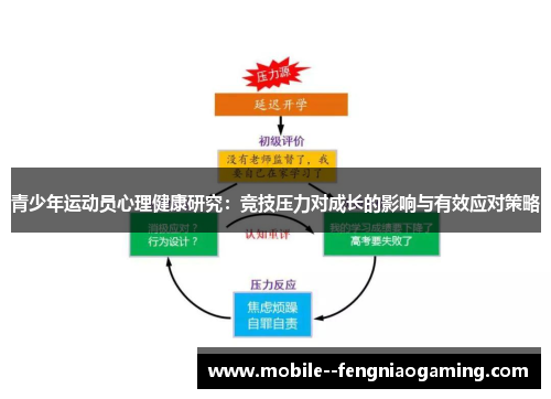 青少年运动员心理健康研究：竞技压力对成长的影响与有效应对策略