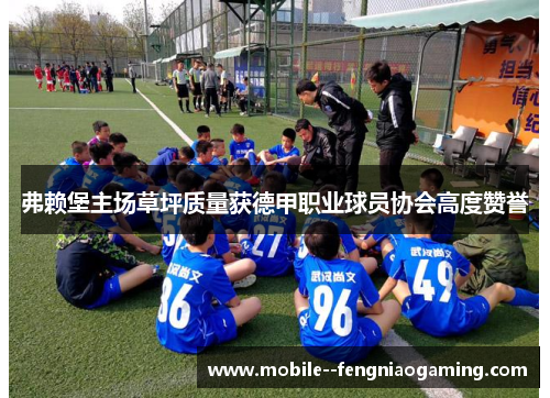 弗赖堡主场草坪质量获德甲职业球员协会高度赞誉