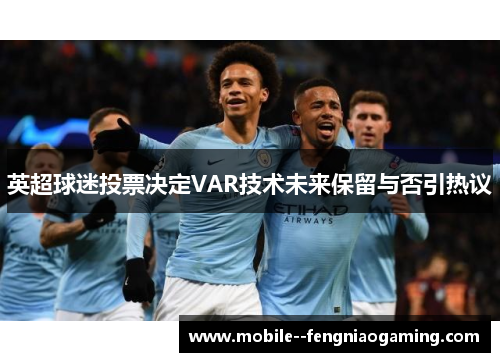 英超球迷投票决定VAR技术未来保留与否引热议